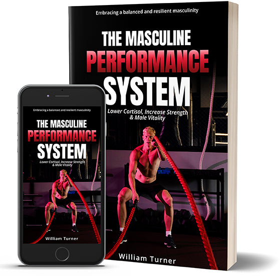 Lấy lại Sức mạnh, Năng lượng & Sinh lực Nam tính với Hệ thống Hiệu suất Nam tính (EBook PDF Miễn phí)